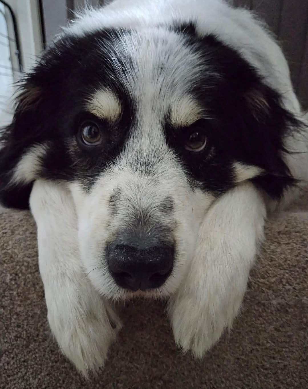 Custom Clip Shoe Charms - Regular - 24CC4Andrew20250507-Sample order